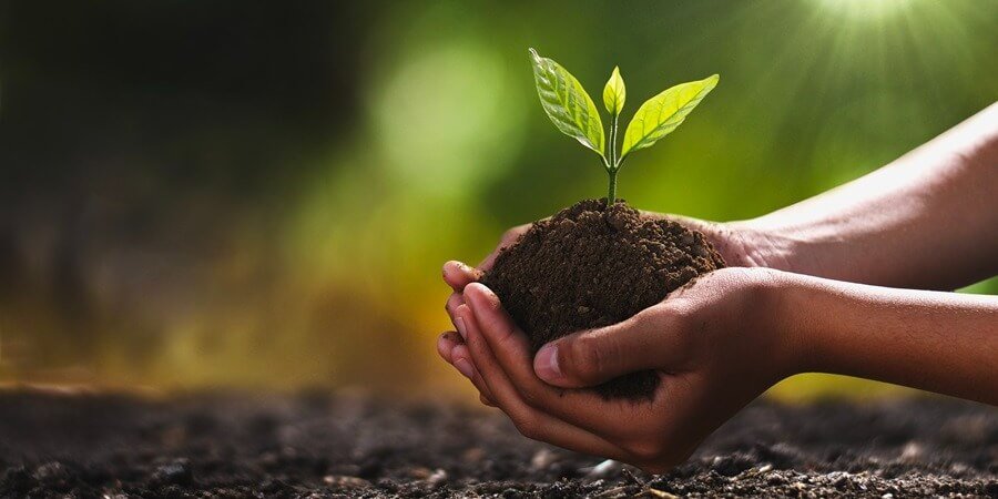 Delitos contra el medio ambiente